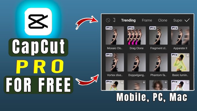 CapCut premium